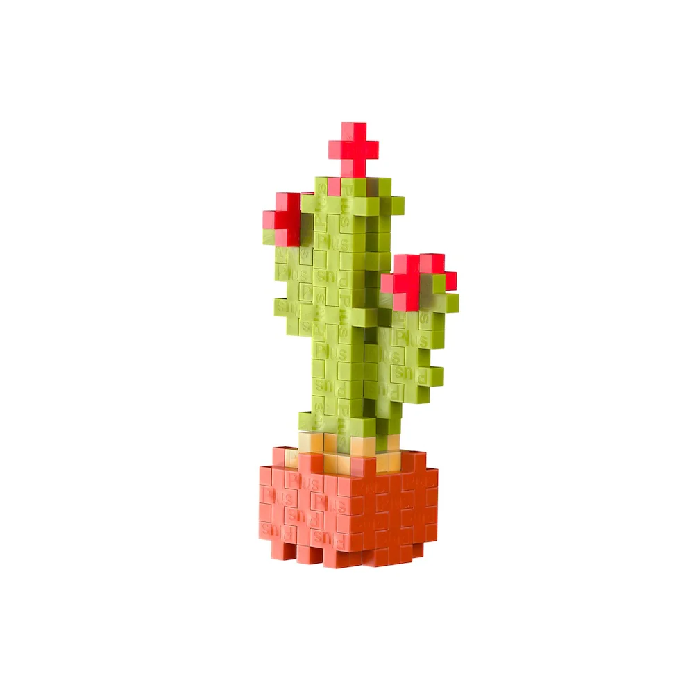 Calm Cactus - Image 4