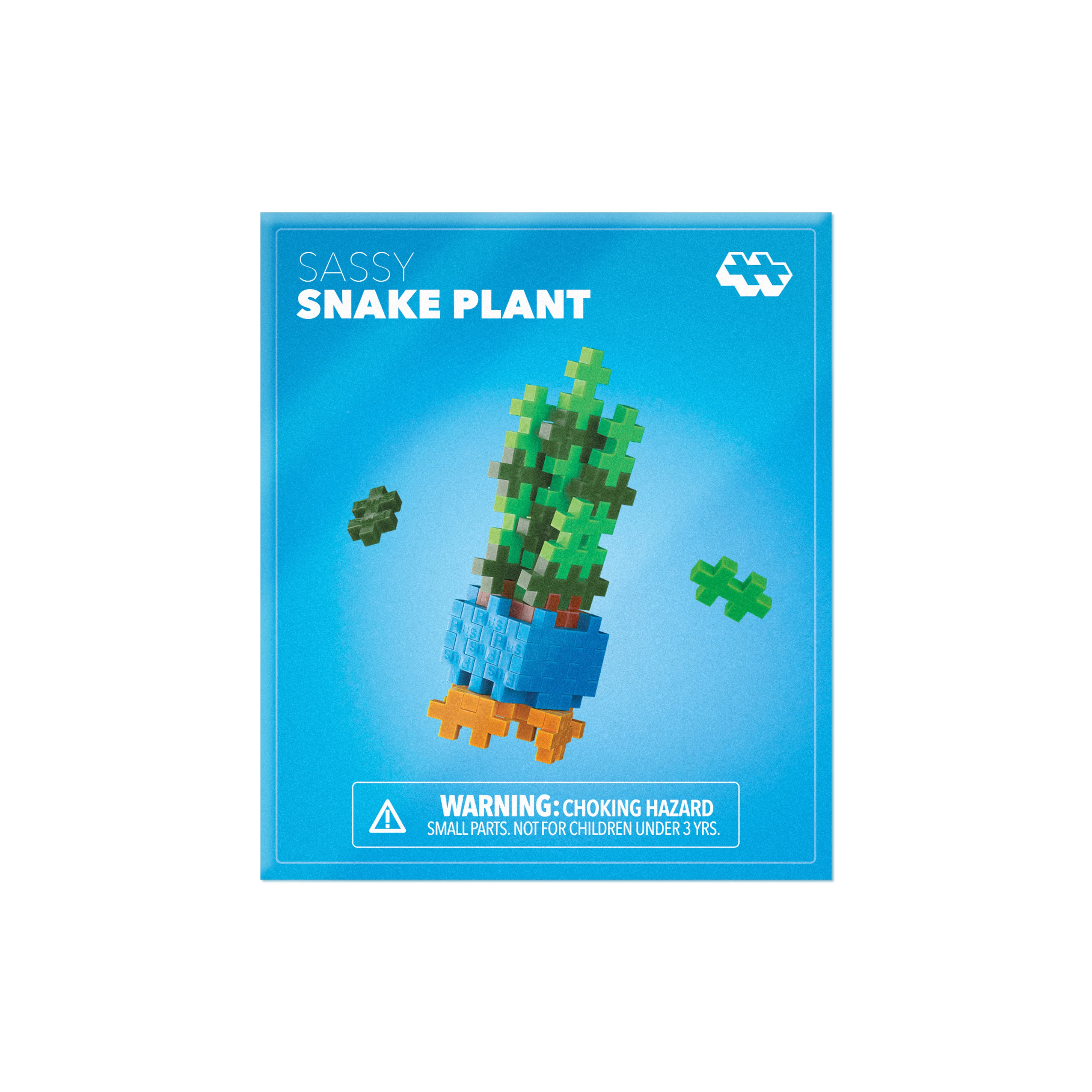 Sassy Snake Plant - Image 5